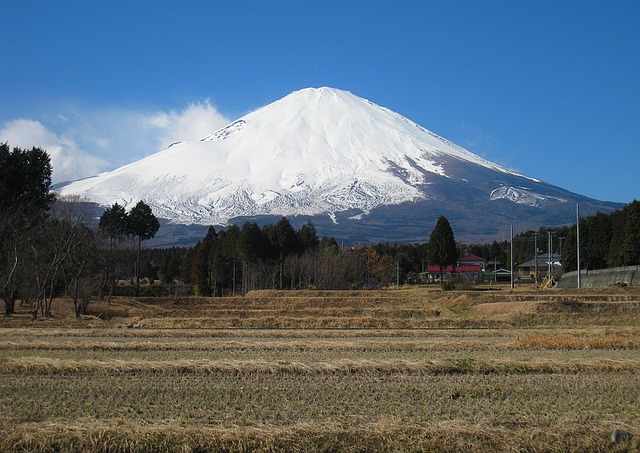 mt-fuji-1225999_640